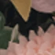 Bean Paste Color
