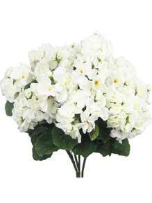Fleur de bégonia-blanche