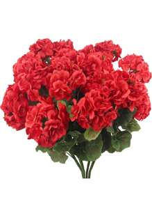 Fleur de bégonia rouge