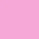 Rosa Fucsia