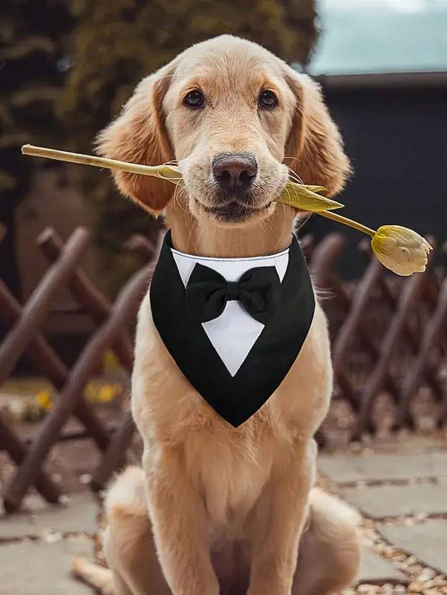1pc British Style Wedding Pet Bib Scarf With Hook And Loop, Dog Triangle Drool Bib