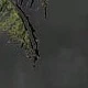 Gris Oscuro
