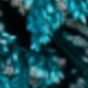 Hierba de amor azul cielo