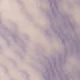 Mauve Purple