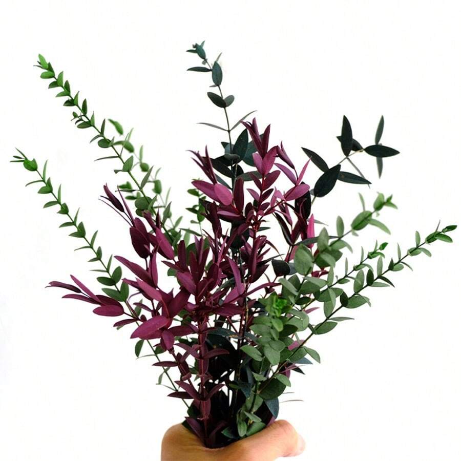 1 Bunch Preserved Eucalyptus Leaves, Natural Green Foliage For DIY Floral Arranging, Photography Props, Home & Bedroom Decor Gifts Birthday Graduation,Garden Decor,Outdoor Plant,Gardening,Fake Flowers