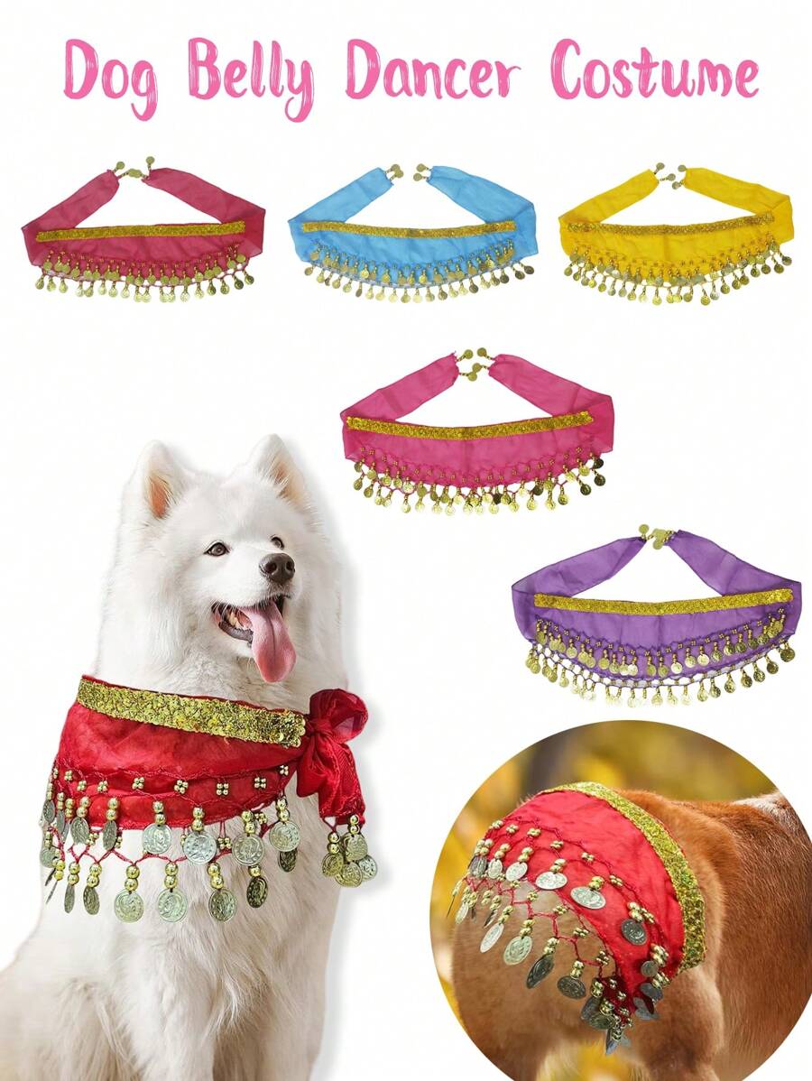 Hunde Bauchtanz Kostüm - Welpen Outfit mit pailletten Hüftkette & hüftschwingender Rock - ideal für Corgi und Welpen Geburtstagsfeiern