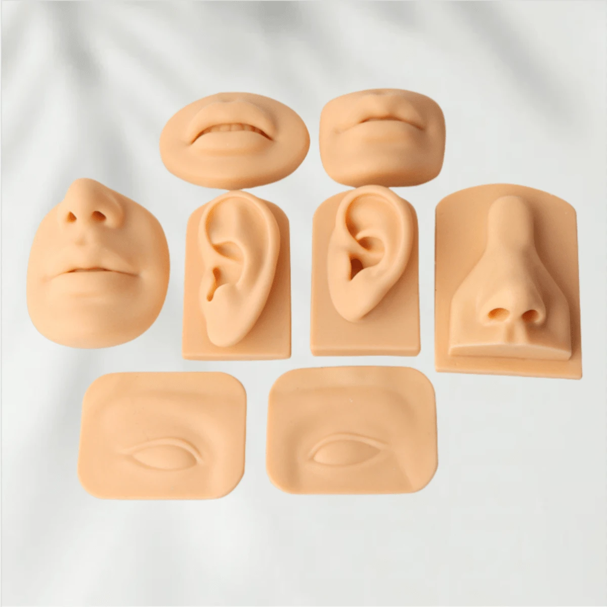 Modèle en silicone avec caractéristiques sensorielles artificielles humaines. Oreilles, yeux, bouche, nez pour l'enseignement, la pratique, le choix des oreilles, l'acupuncture des oreilles, les boucles d'oreilles, les appareils auditifs. Modèle en gel de silice.