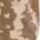 Woestijn camouflage