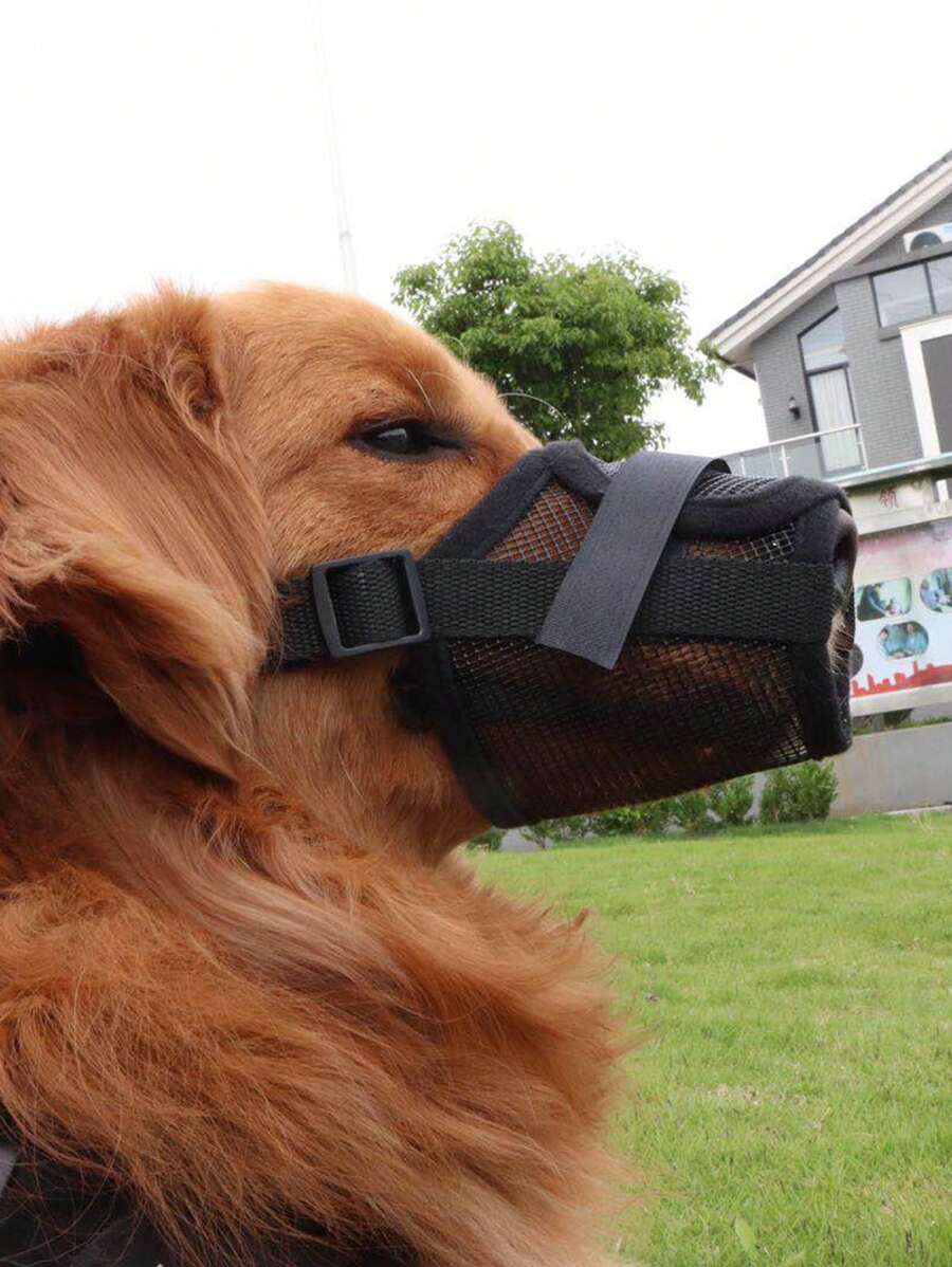 1 Set Dog Muzzle Mesh Anti-Bite Prevent Chewing Anti-Licking Mask + Pet Collar