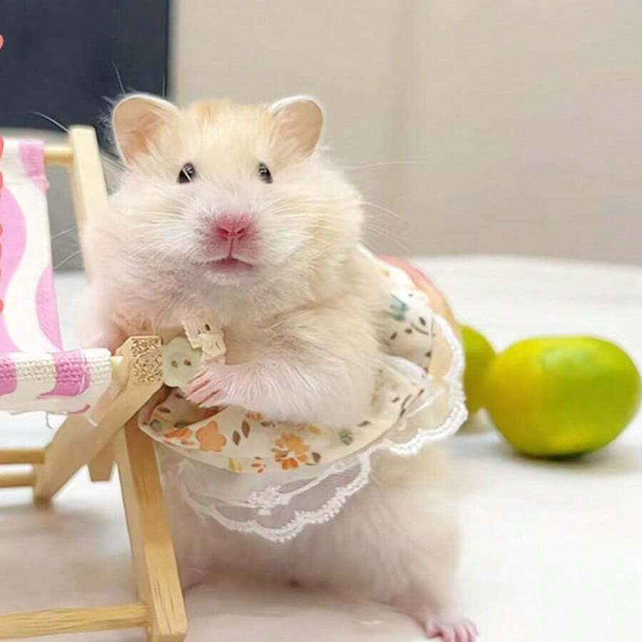 Vestido para hámster, ropa para hámster, ropa de muñeco de peluche de hámster