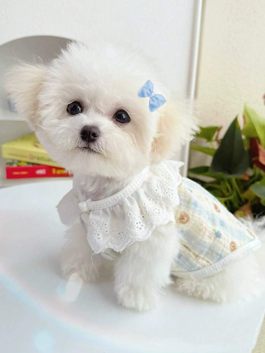 Pet Lace Dress, Cute Blue&White Bear Print, Summer Breathable For Daily Indoor/Outdoor Use, Red Rabbit Print, Great Pet Birthday Gift