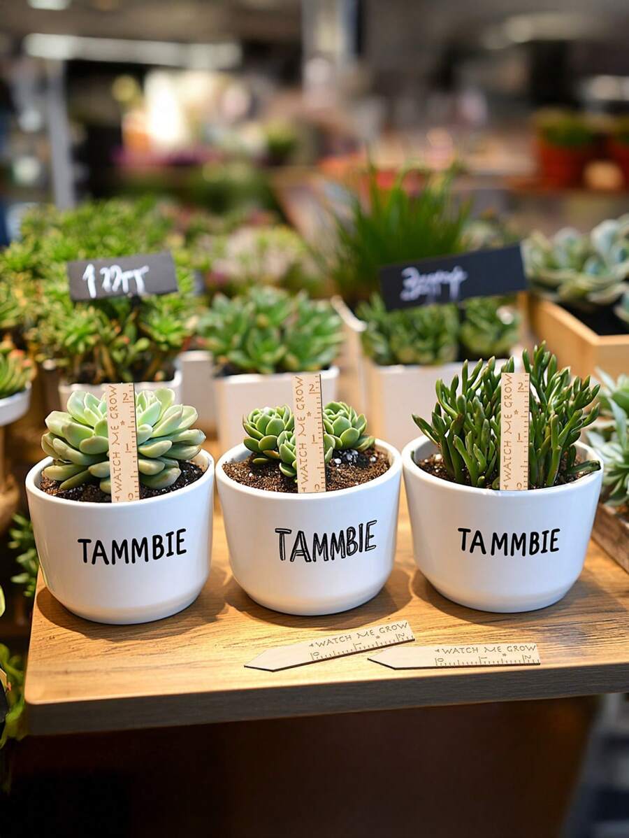 30/50 stuks houten plantenlabels voor het registreren van de identificatie van de groei van vetplanten, houten labels voor binnen- en buitenplanten, herbruikbare gegraveerde tuinlabelstokken