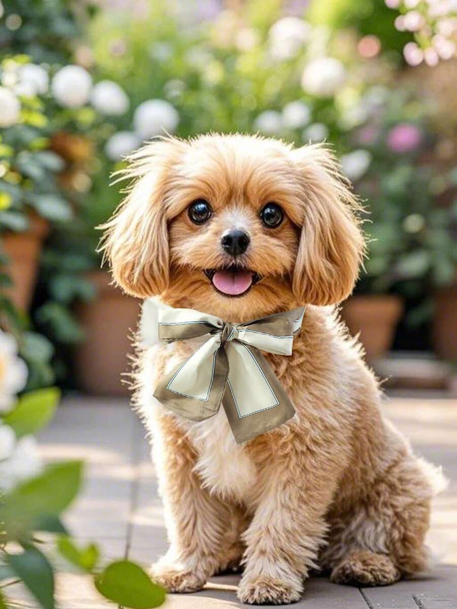 7/8 stuks effen decoratieve huisdiersjaals om uw kat of hond modieuzer en schattiger te maken, voor huisdiereigenaren die graag hun huisdieren aankleden