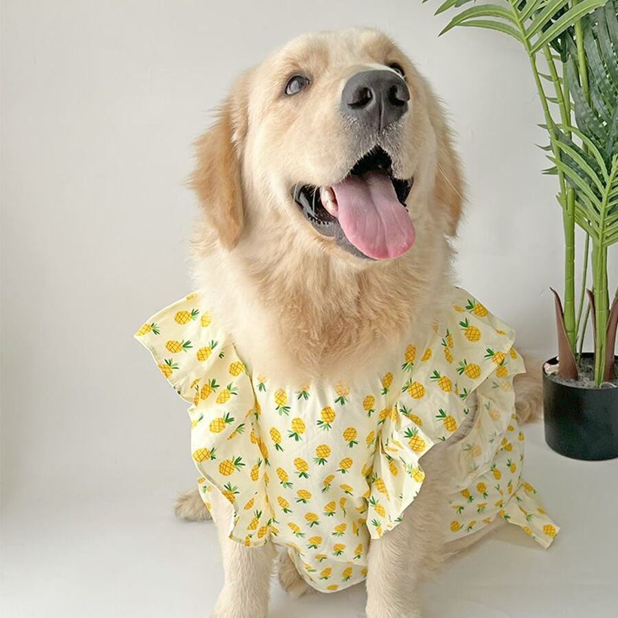1 pezzo Vestito a molla/estate/autunno con stampa di ananas per cani di taglia media e grande, vestito volante carino per Golden Retriever, Labrador, Samoyed