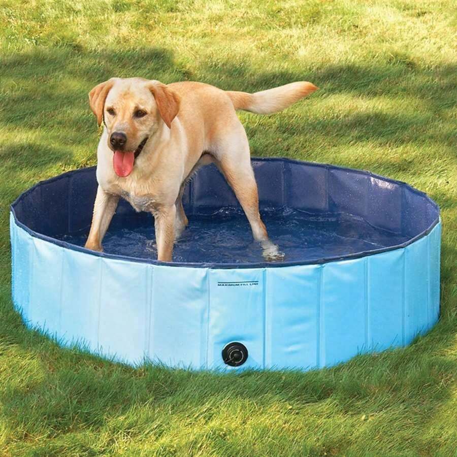Must-Have Pet Grooming Tool, Foldable Dog/Cat Bathing Tub With Drain Hole For Easy Drainage, Collapsible Pet Bath Basin, Convenient For Outdoor Use, Portable Bathing Basin For Pets At Riverside