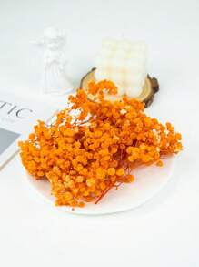 Pack de matériel Ciel étoilé orange