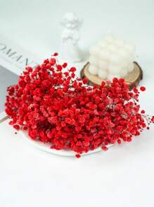 Paquet de matériaux pour le ciel étoilé rouge