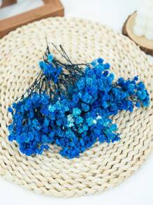 Paquet de matériaux pour ciel étoilé bleu royal