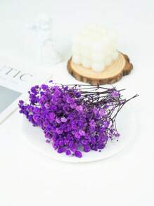 Pack de matériel pour bébé Purple Baby's Breath