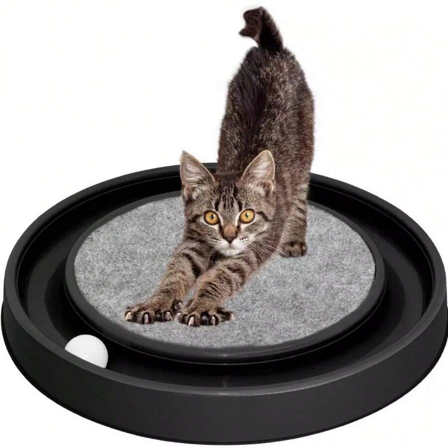 Arranhador Redondo Para Gatos Com Bolinha Gato Relax Arranhar