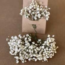 Paquet de matériel de souffle de bébé blanc à tige verte