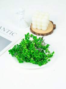 Pack de matériaux pour ciel étoilé vert