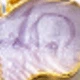 Morado