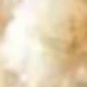 Beige-Gypsophila