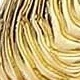 golden
