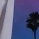 أبيض 3