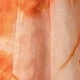 Burnt Orange