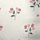 Multicolor