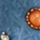 Biru