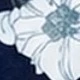 彩色