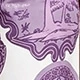 Mauve Purple