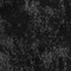 Black and White