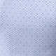 Blue and White