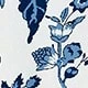 Blau-Weiß