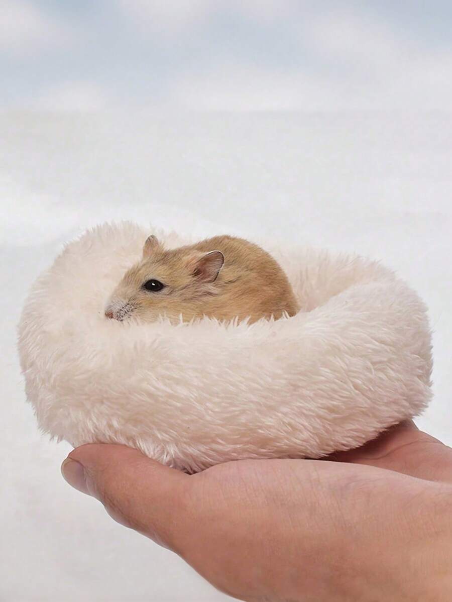 1 pieza Cama nido suave, cálida y cómoda para hámster y mascotas pequeñas en invierno