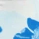 Blue and White