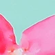 Rose bonbon