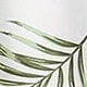 Vert menthe