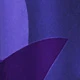 Violet Purple