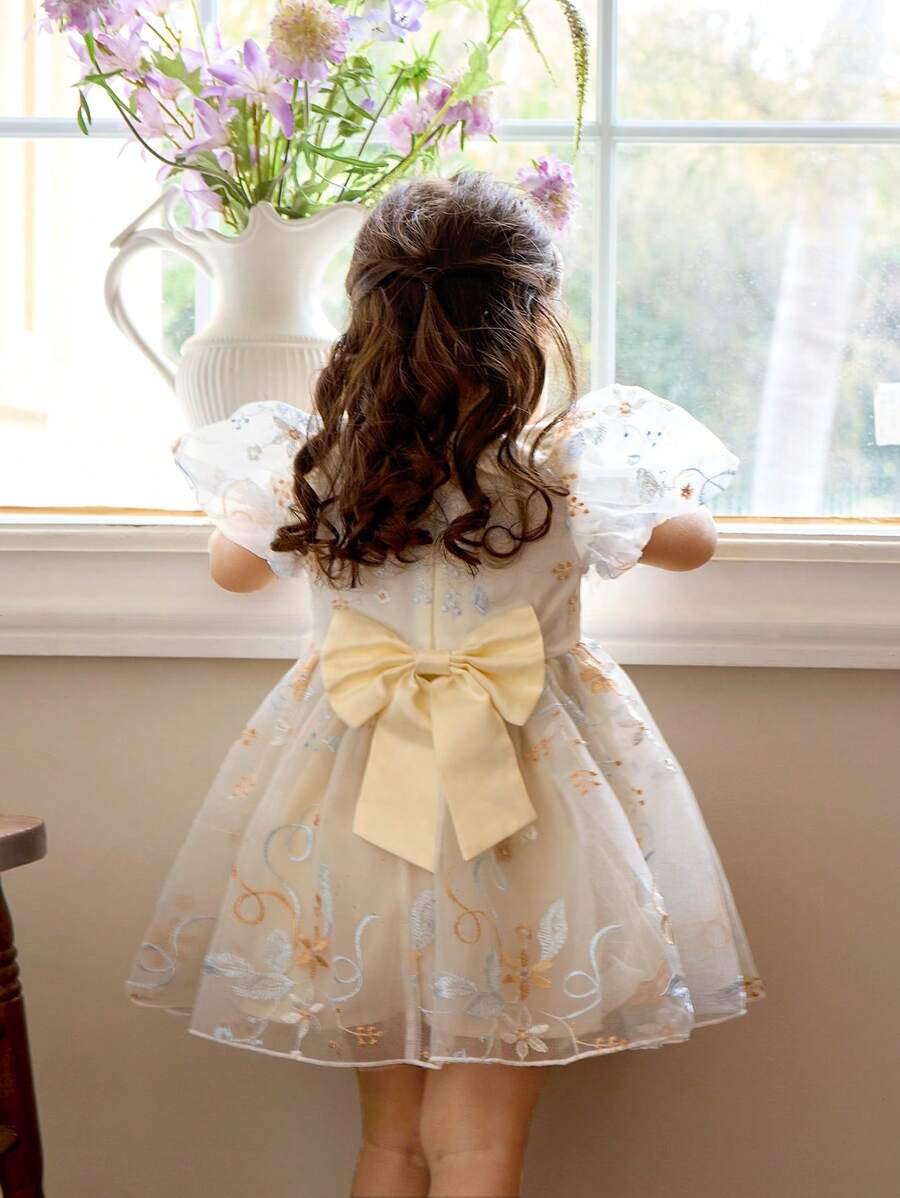 Baby Girl Elegant Cute Apricot Mesh Embroidered Peter Pan Collar Summer Dress Outfit