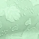 Verde Oliva