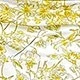 Jaune citron