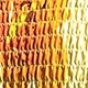 Multicolor