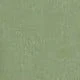 Vert menthe