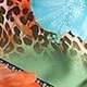 Multicolore