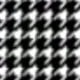 Blanco y Negro